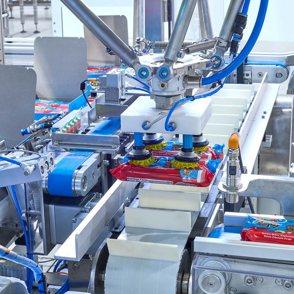 Automated Packaging System Loading Flow Packs into Cartons